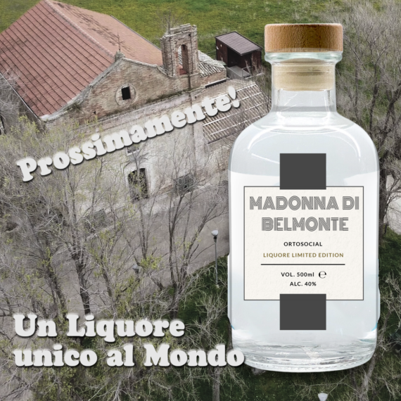 LIQUORE MADONNA DI BELMONTE - immagine 4